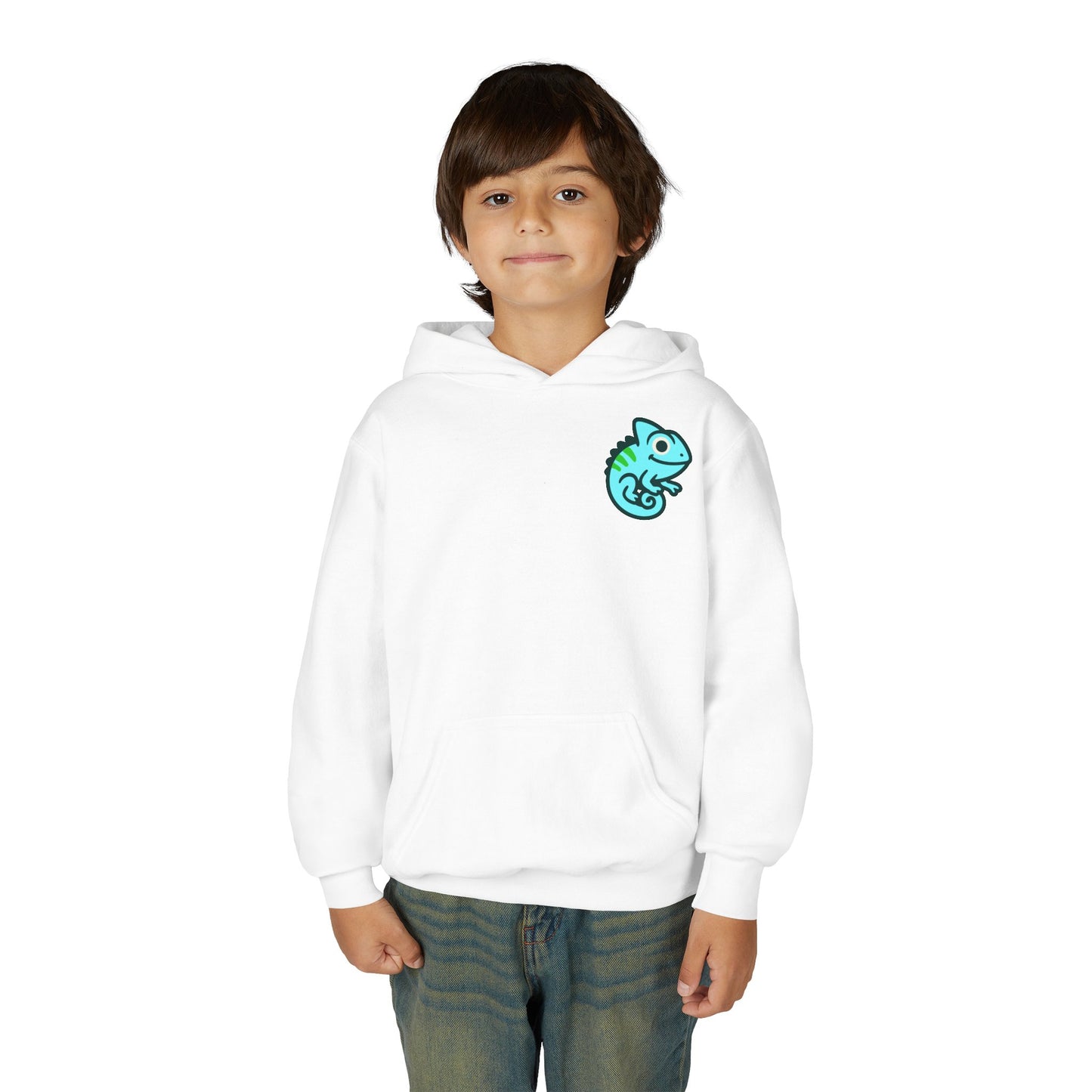 Youth Signature Pullover Hoodie – Aqua Chameleon