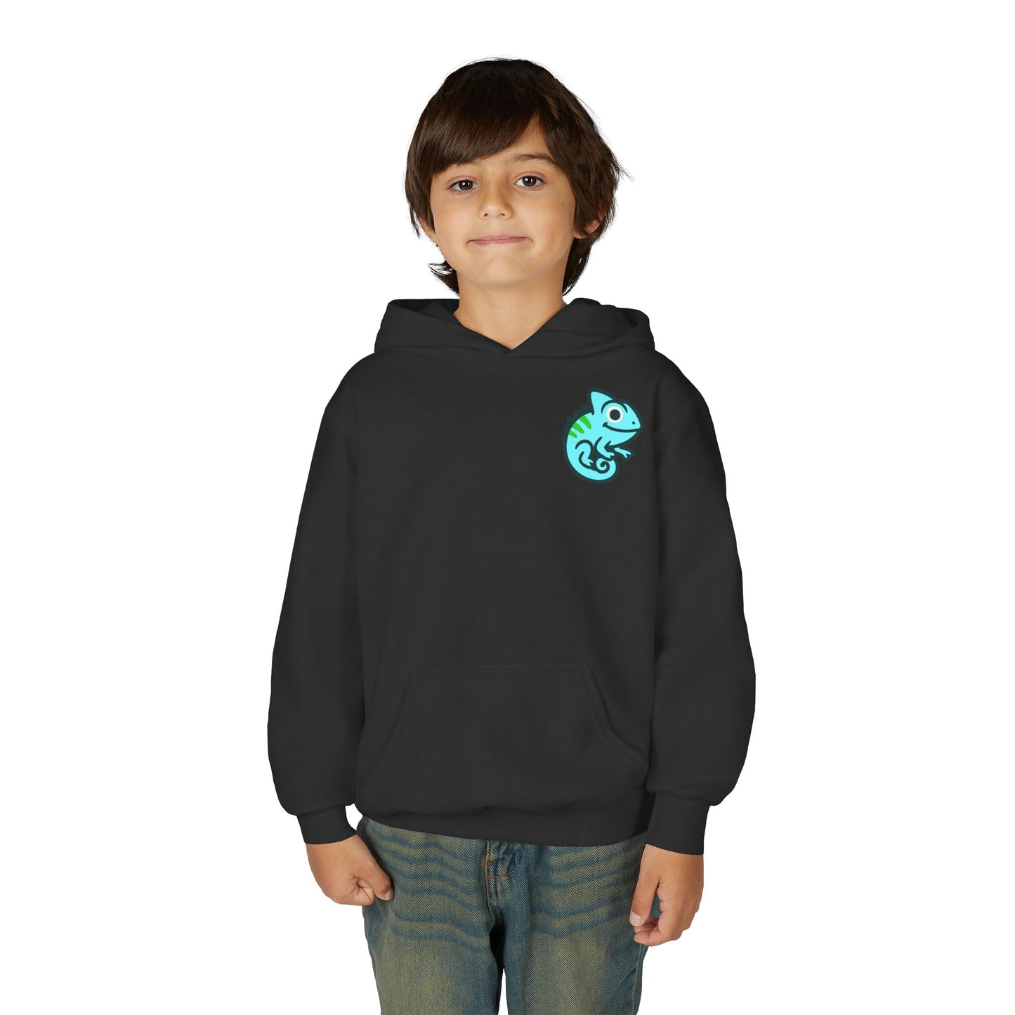Youth Signature Pullover Hoodie – Aqua Chameleon