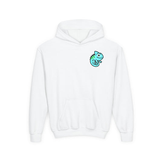 Youth Signature Pullover Hoodie – Aqua Chameleon